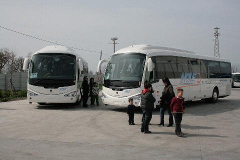 Noleggio BUS