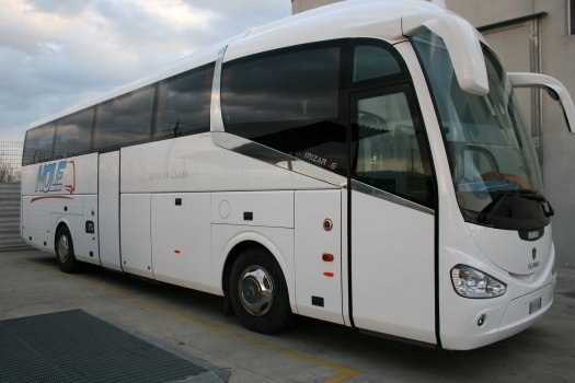 Noleggio BUS