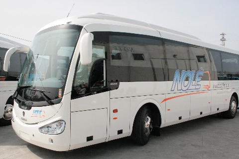 Noleggio BUS